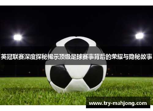 英冠联赛深度探秘揭示顶级足球赛事背后的荣耀与隐秘故事