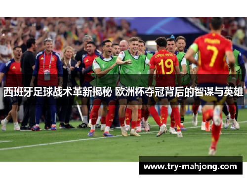 西班牙足球战术革新揭秘 欧洲杯夺冠背后的智谋与英雄 西班牙足球战术革新揭秘 欧洲杯夺冠背后的智谋与英雄