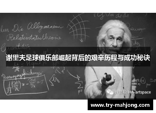 谢里夫足球俱乐部崛起背后的艰辛历程与成功秘诀