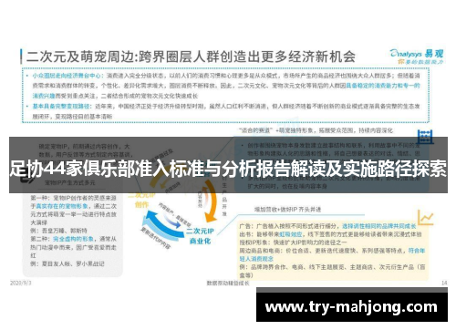 足协44家俱乐部准入标准与分析报告解读及实施路径探索