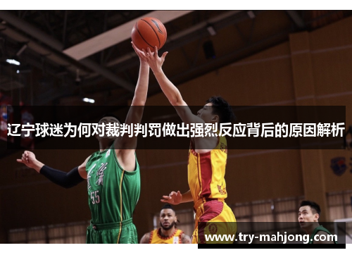 辽宁球迷为何对裁判判罚做出强烈反应背后的原因解析