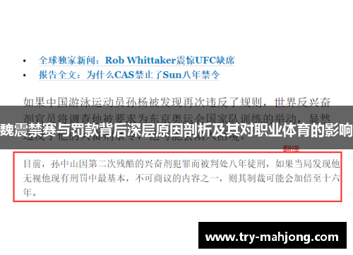 魏震禁赛与罚款背后深层原因剖析及其对职业体育的影响