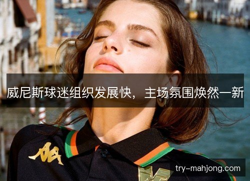 威尼斯球迷组织发展快，主场氛围焕然一新