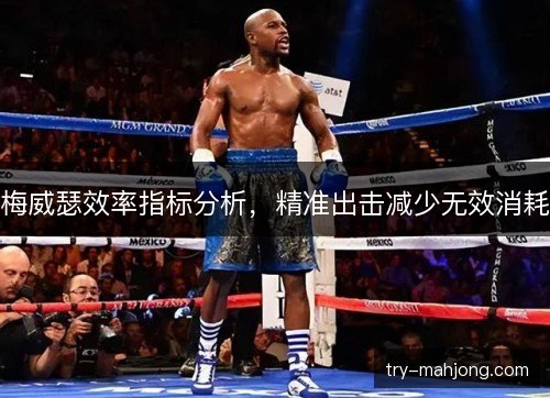 梅威瑟效率指标分析,精准出击减少无效消耗 梅威瑟效率指标分析,精准出击减少无效消耗